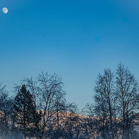 Koselig Fjellleilighet I Sirdal *